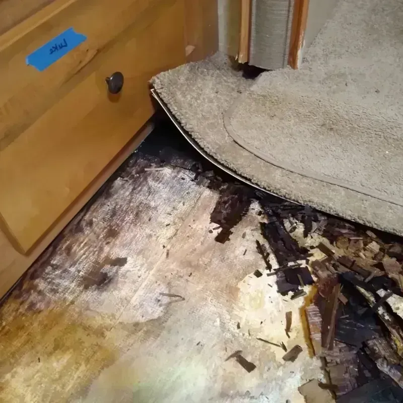 Best Wood Floor Water Damage Service in Cass County, ND